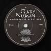 Gary Numan A Perfect Circle Triple LP 2025
